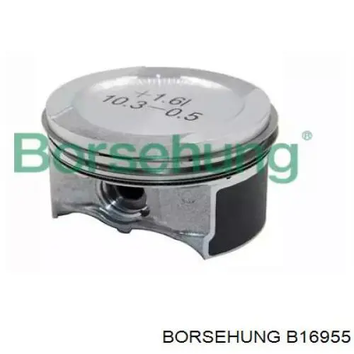 B16955 Borsehung juego de piston para motor, std