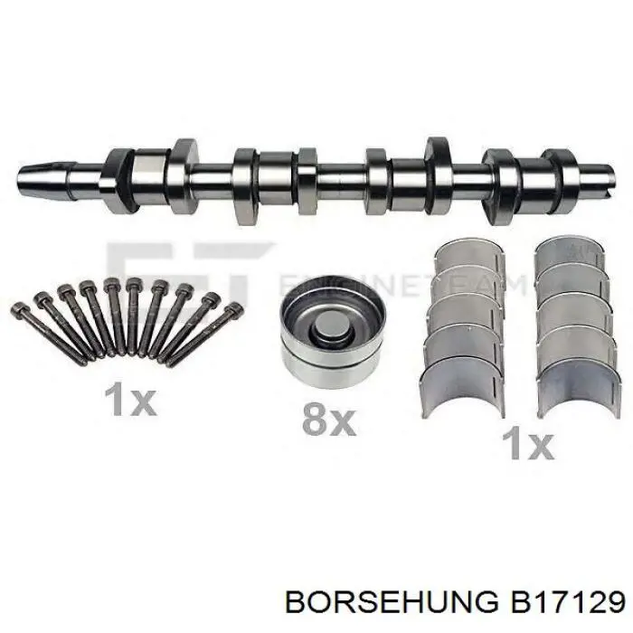 B17129 Borsehung