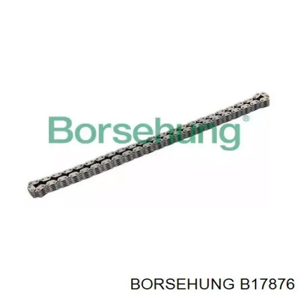 B17876 Borsehung cadena de distribución