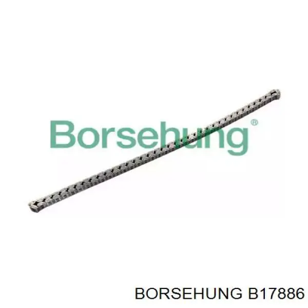 Cadena de distribución B17886 Borsehung