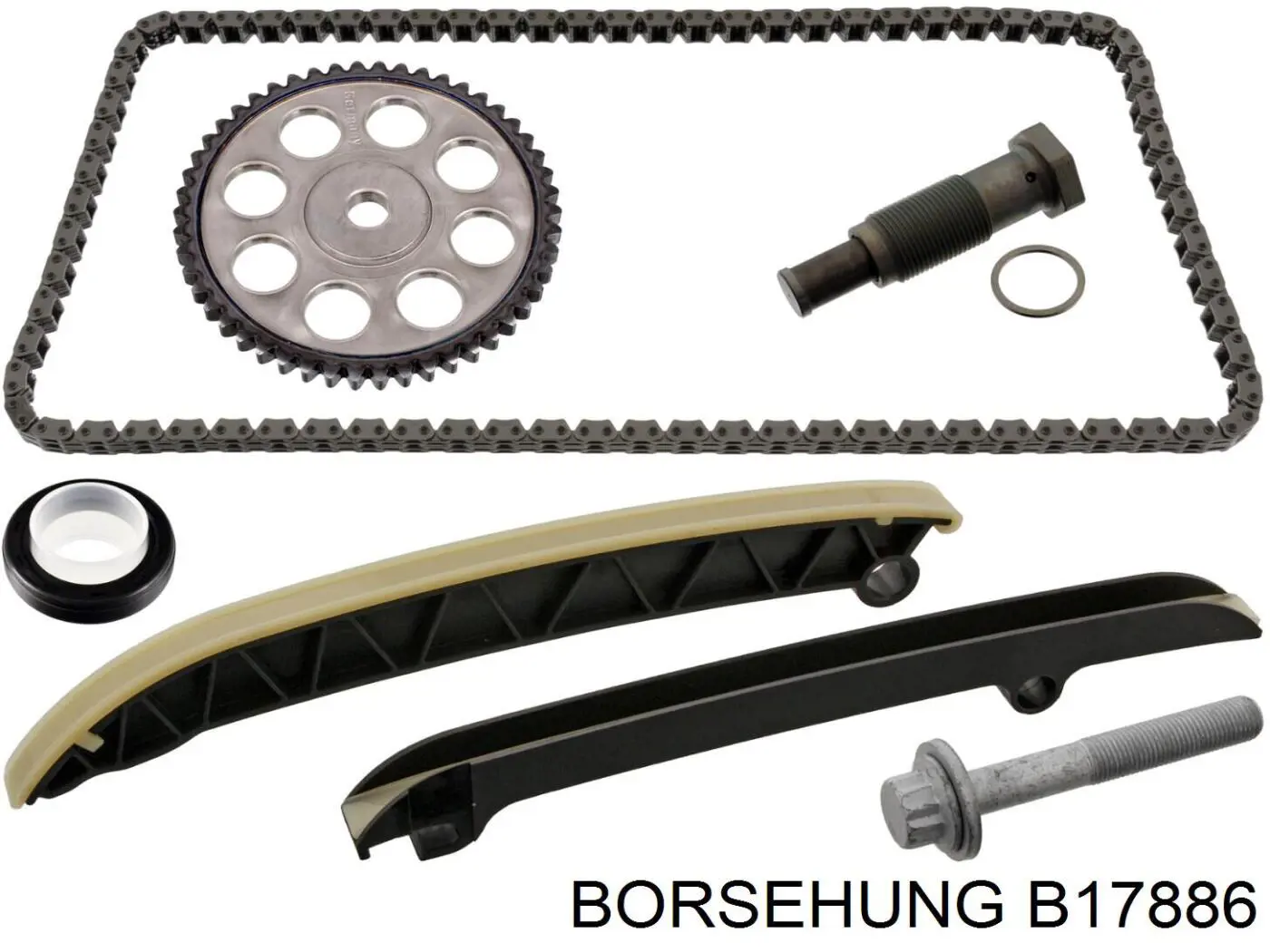 B17886 Borsehung cadena de distribución