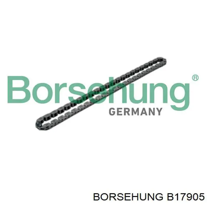 B17905 Borsehung Cadena de bomba de aceite de motor