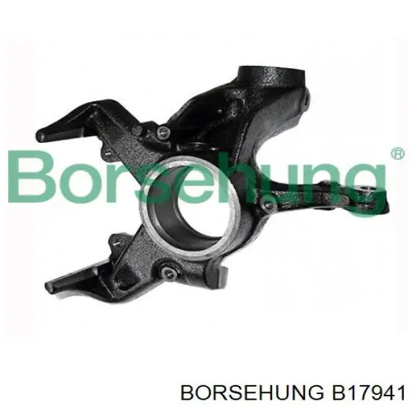 Mangueta delantera izquierda Borsehung B17941 precio, desde 61,03 EUR