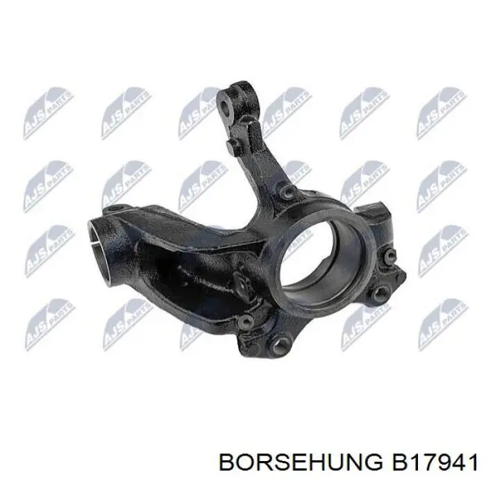 Comprar B17941 Borsehung Mangueta delantera izquierda