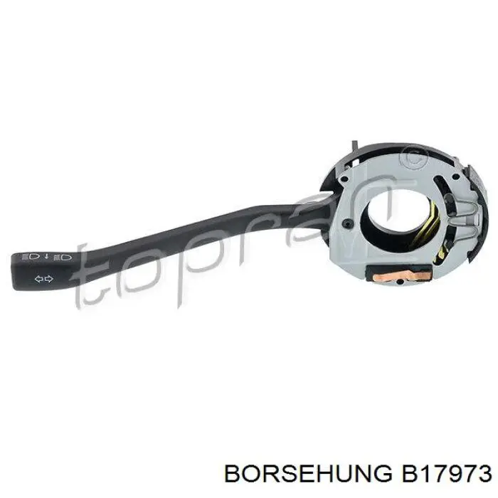 B17973 Borsehung