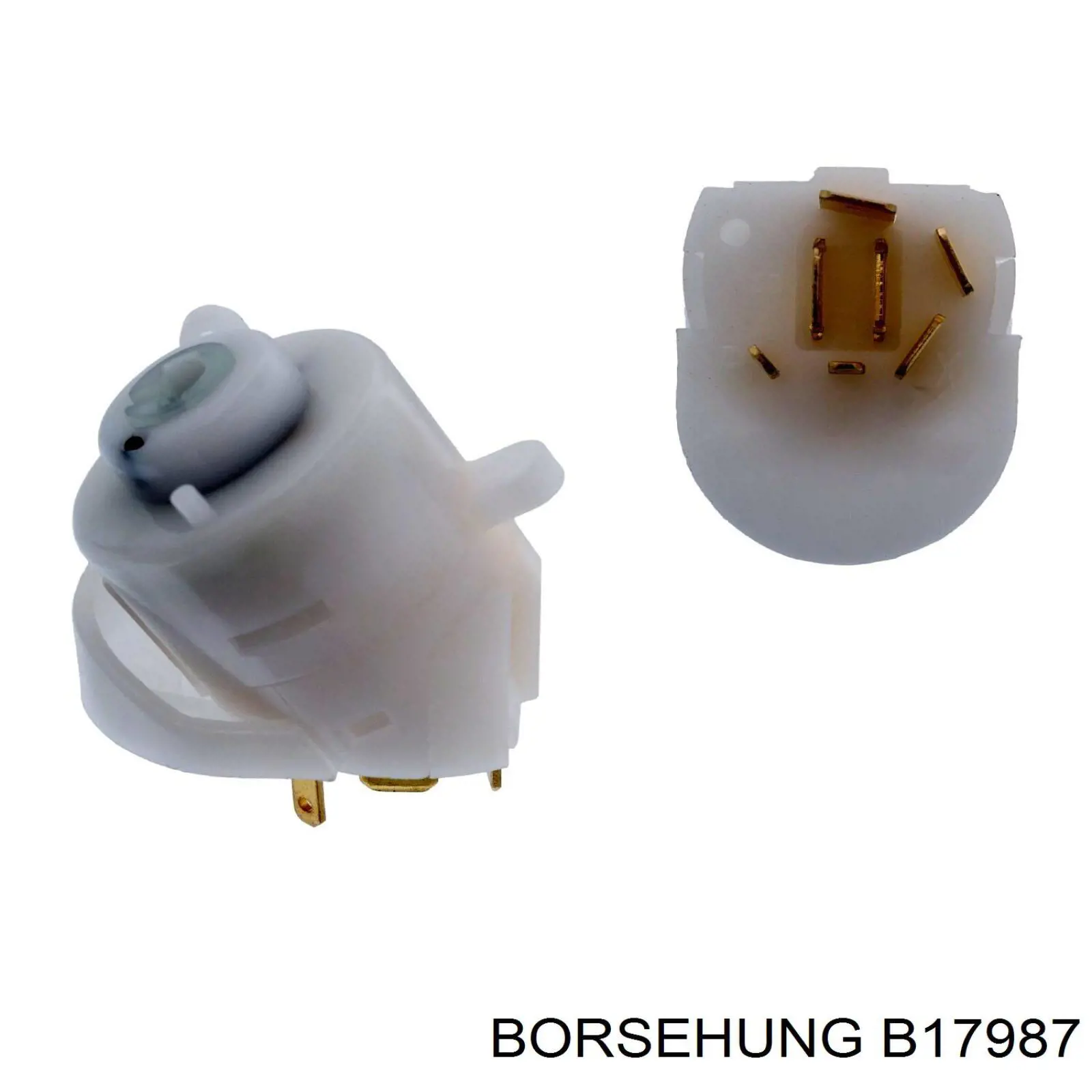 B17987 Borsehung interruptor de encendido / arranque