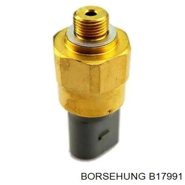 Kit de cadena de distribución B17991 Borsehung