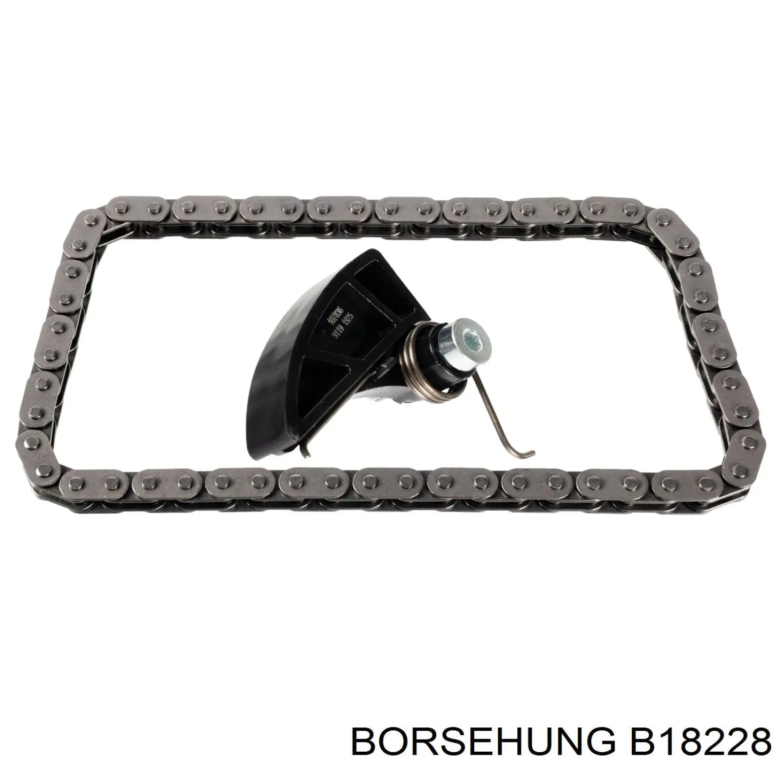 B18228 Borsehung cadena, bomba de aceite