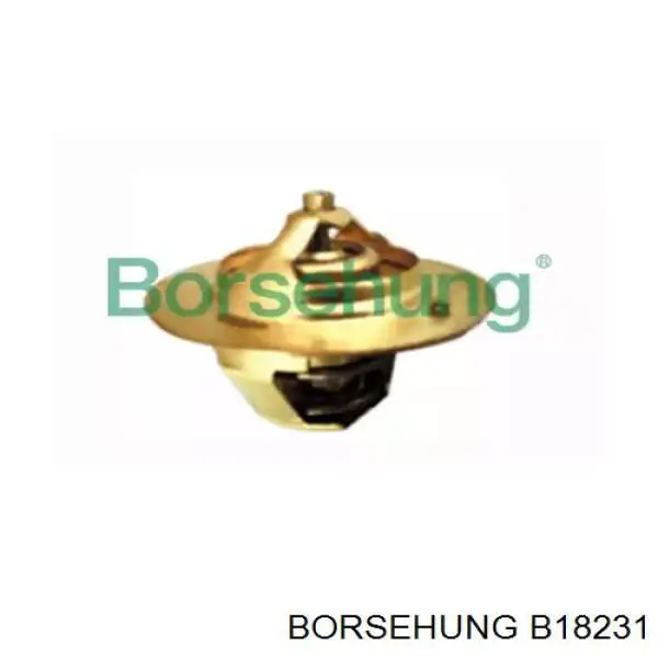 B18231 Borsehung termostato, refrigerante