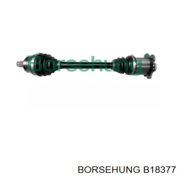B18377 Borsehung Semieje delantero