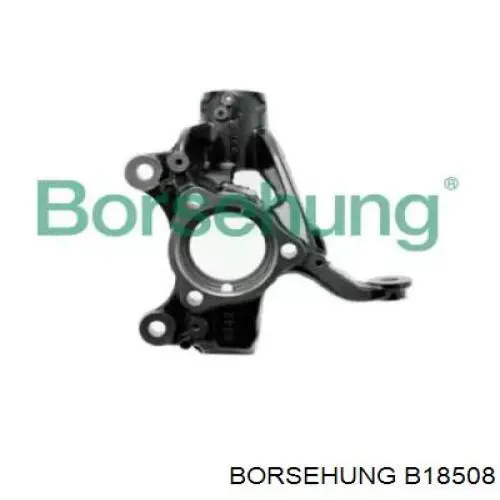 Mangueta delantera izquierda Borsehung B18508 precio, desde 111,40 EUR