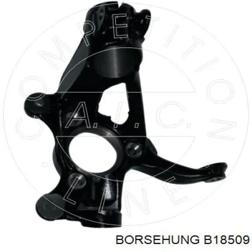 Mangueta delantera derecha Borsehung B18509 precio, desde 97,78 EUR