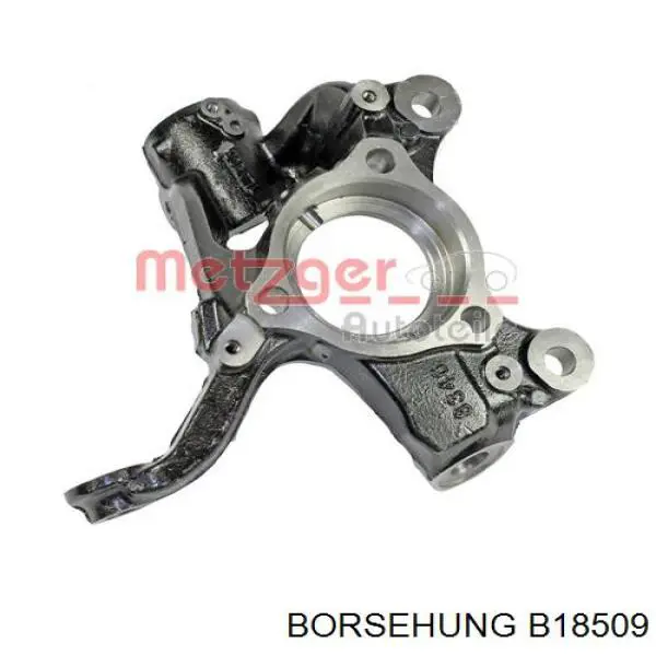 Comprar B18509 Borsehung Mangueta delantera derecha