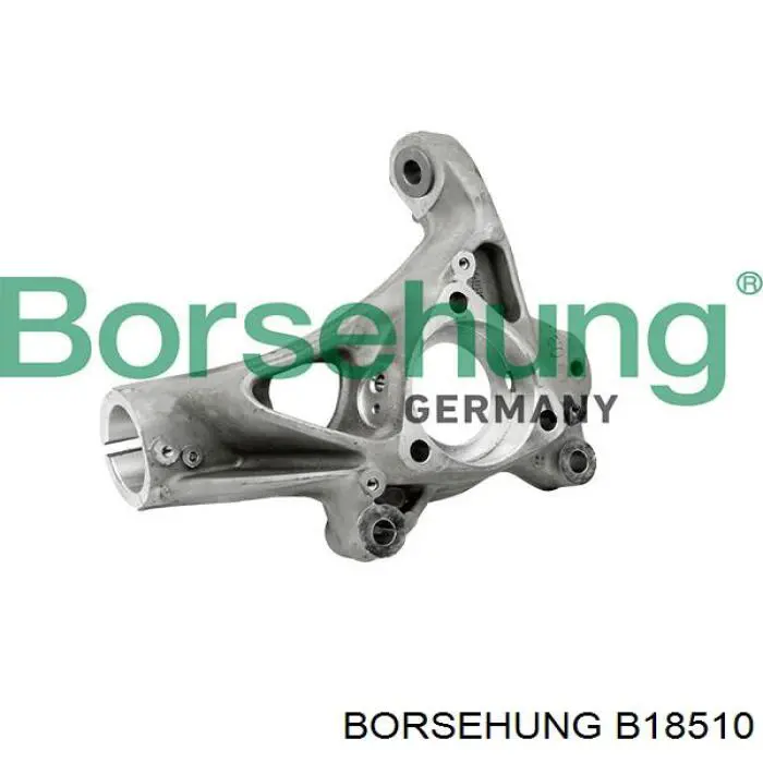 Comprar B18510 Borsehung Mangueta delantera izquierda