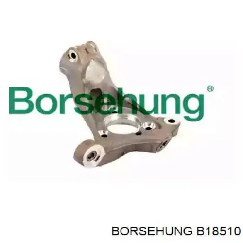 Mangueta delantera izquierda Borsehung B18510 precio, desde 111,80 EUR