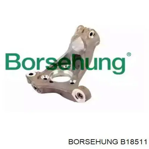 Mangueta delantera derecha Borsehung B18511 precio, desde 113,54 EUR