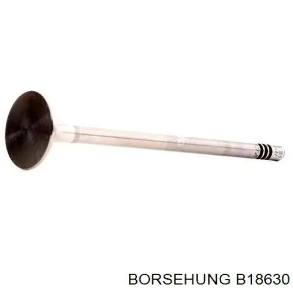 Válvula de escape Borsehung B18630 precio, desde 22,61 EUR