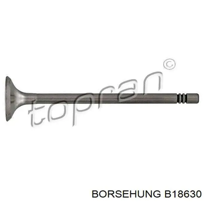 B18630 Borsehung válvula de escape