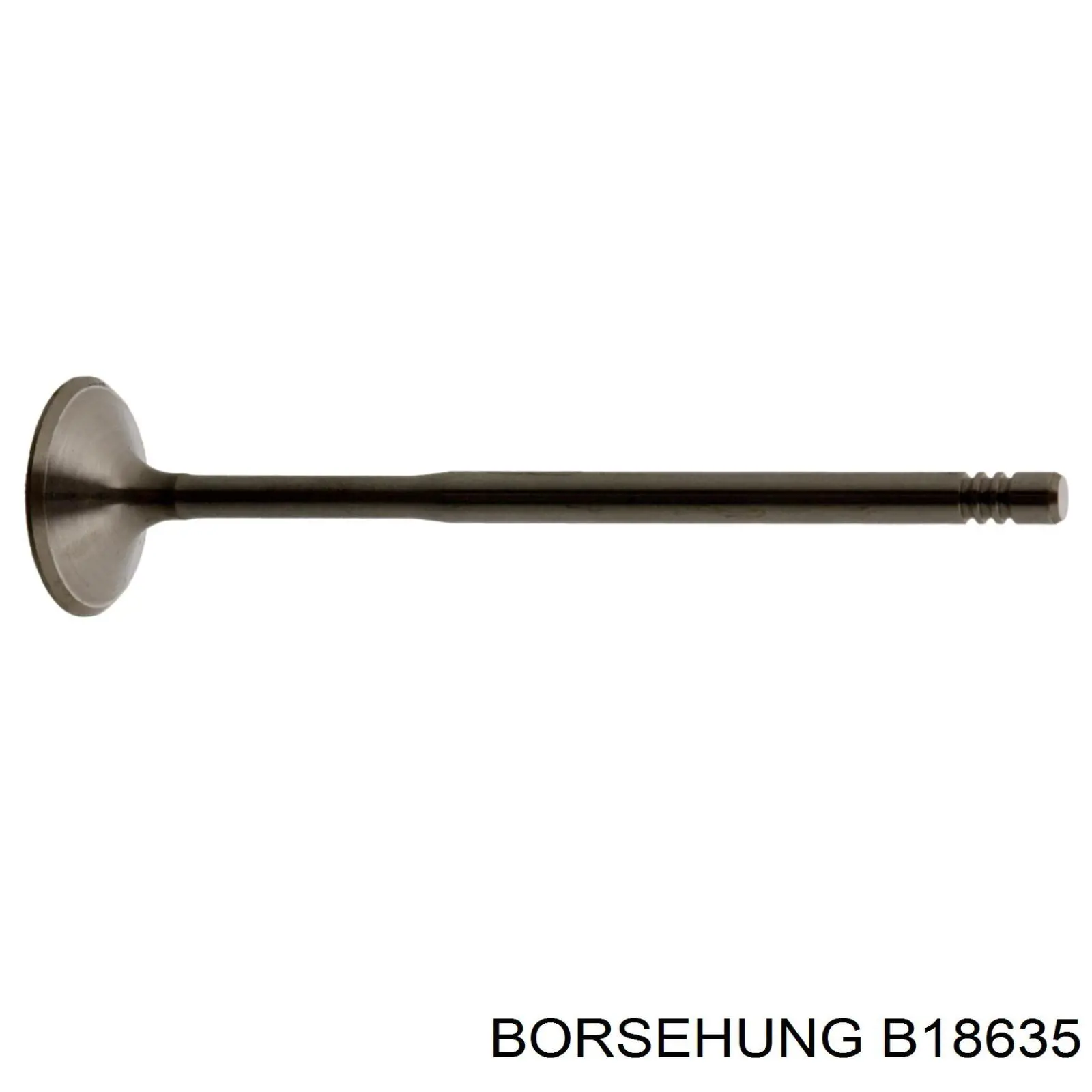 B18635 Borsehung válvula de admisión