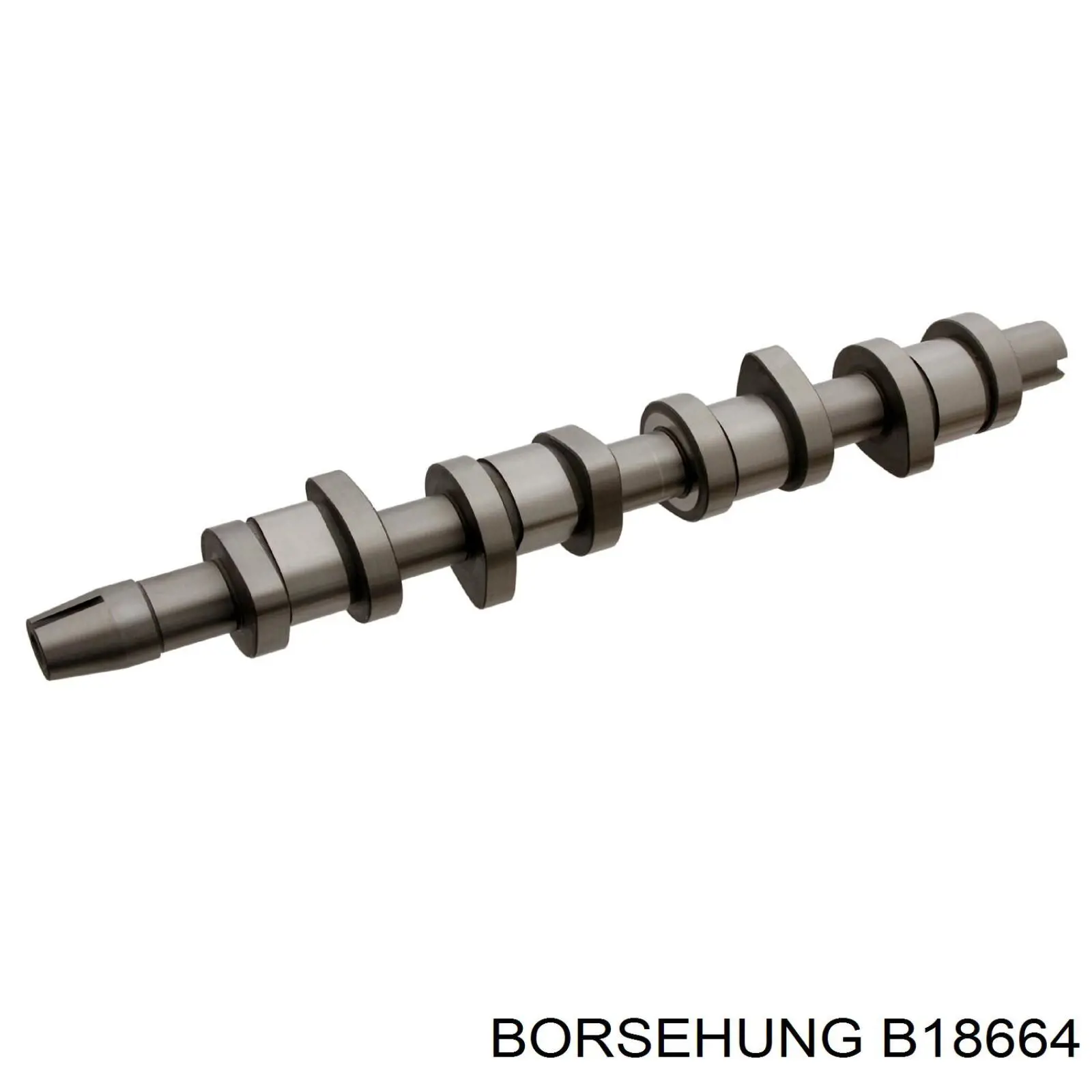 Comprar B18664 Borsehung Juego de árbol de levas
