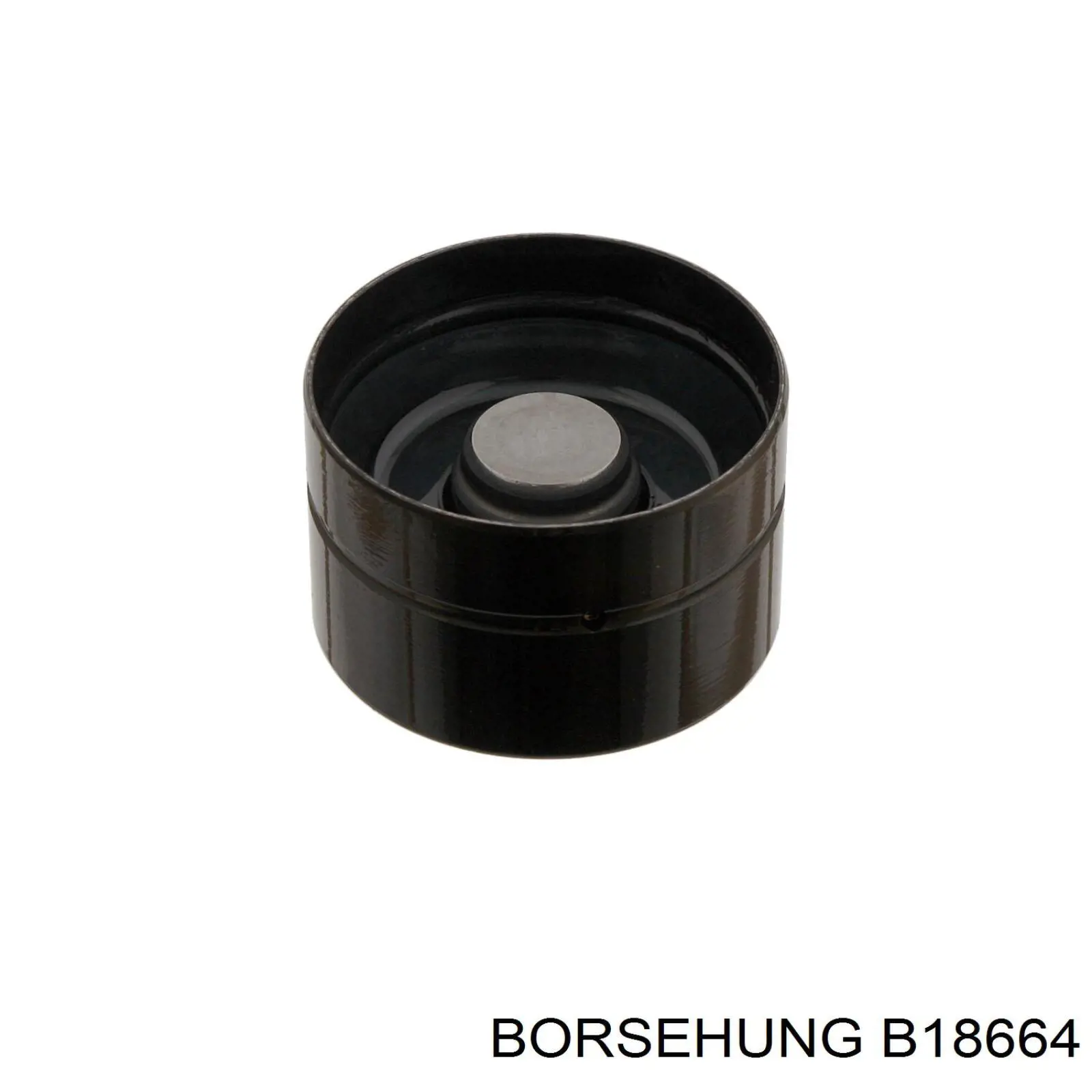 Juego de árbol de levas Borsehung B18664 precio, desde 237,93 EUR