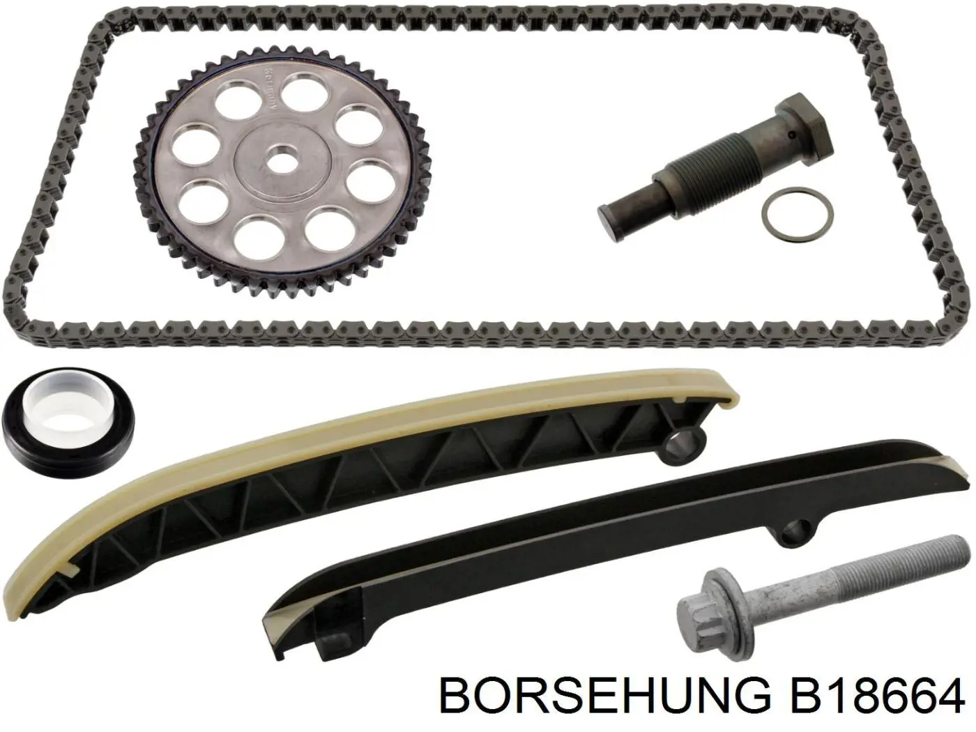 B18664 Borsehung