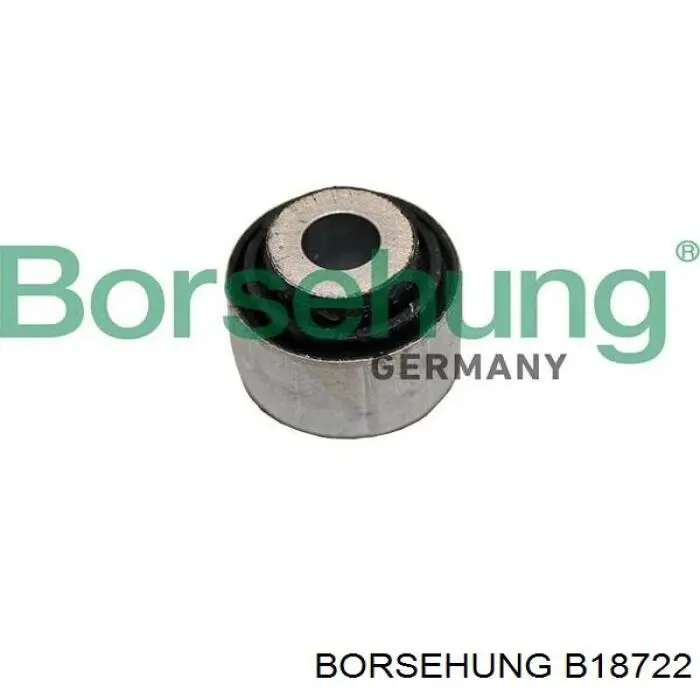 Buje de mangueta trasera B18722 Borsehung
