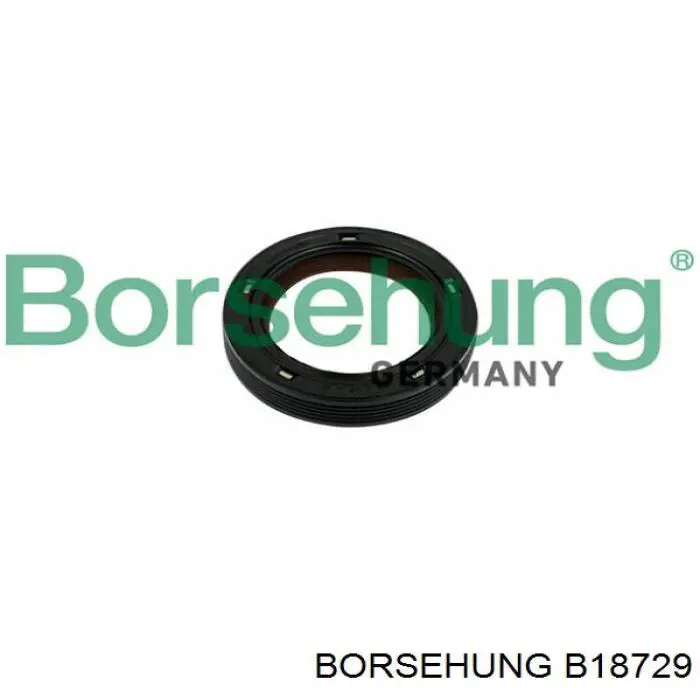 Retén del árbol de levas Borsehung B18729 precio, desde 9,13 EUR