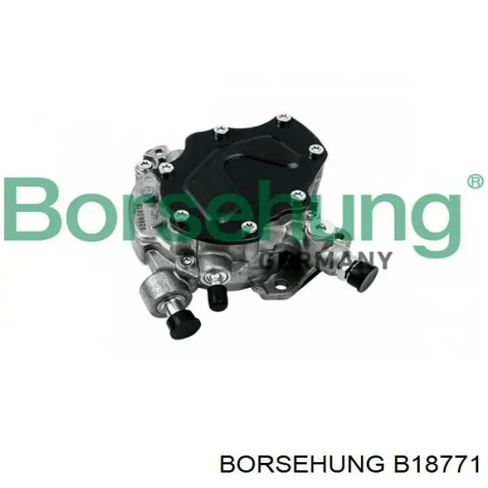 Bomba tándem de combustible Borsehung B18771 precio, desde 312,42 EUR
