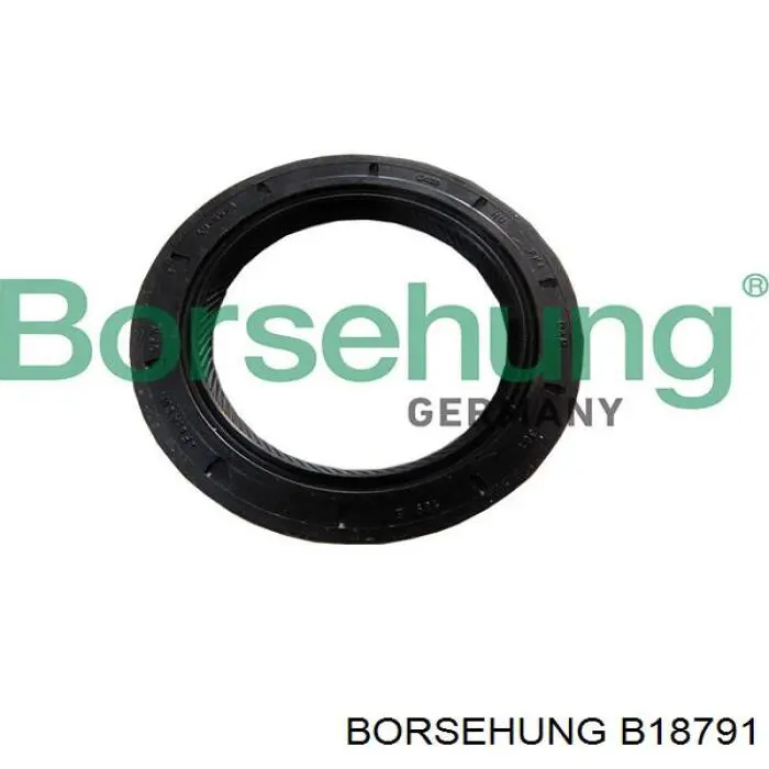 B18791 Borsehung anillo reten caja de cambios