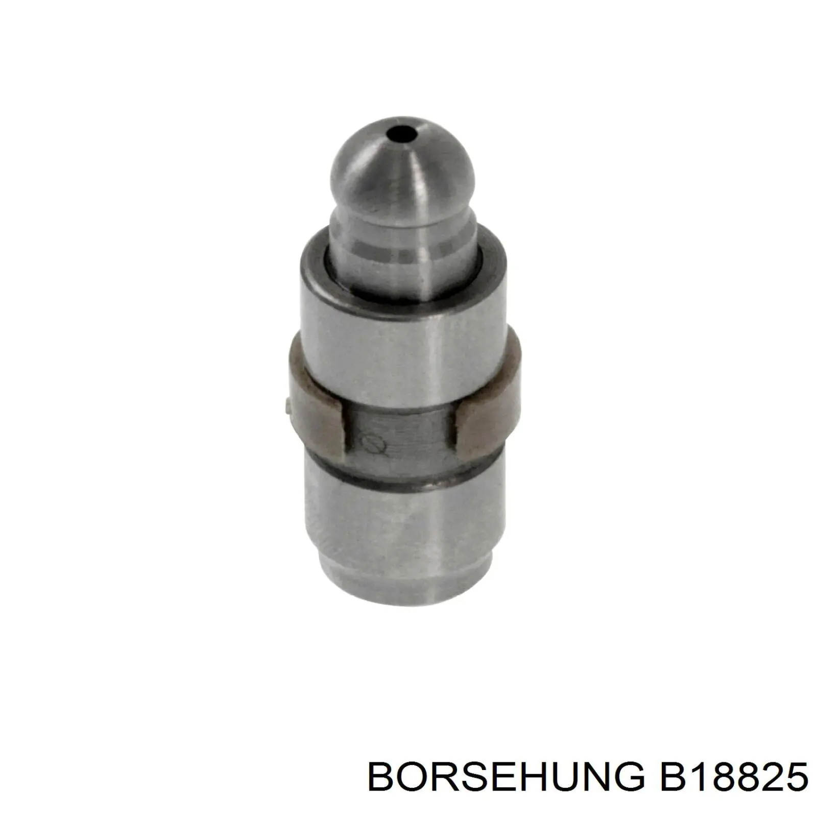 Comprar B18825 Borsehung Taqués hidráulicos
