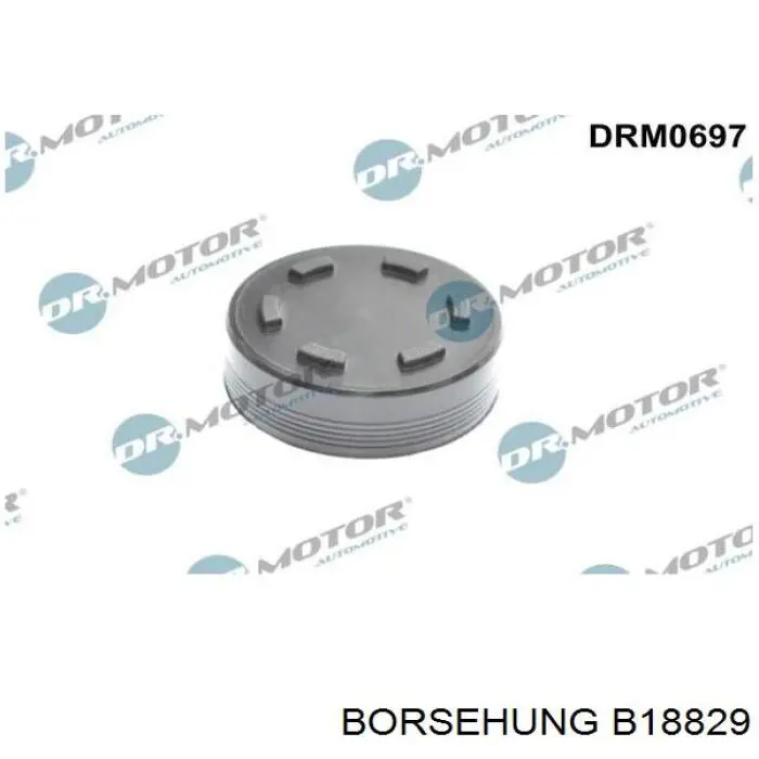 Comprar B18829 Borsehung Palanca oscilante, distribución del motor 