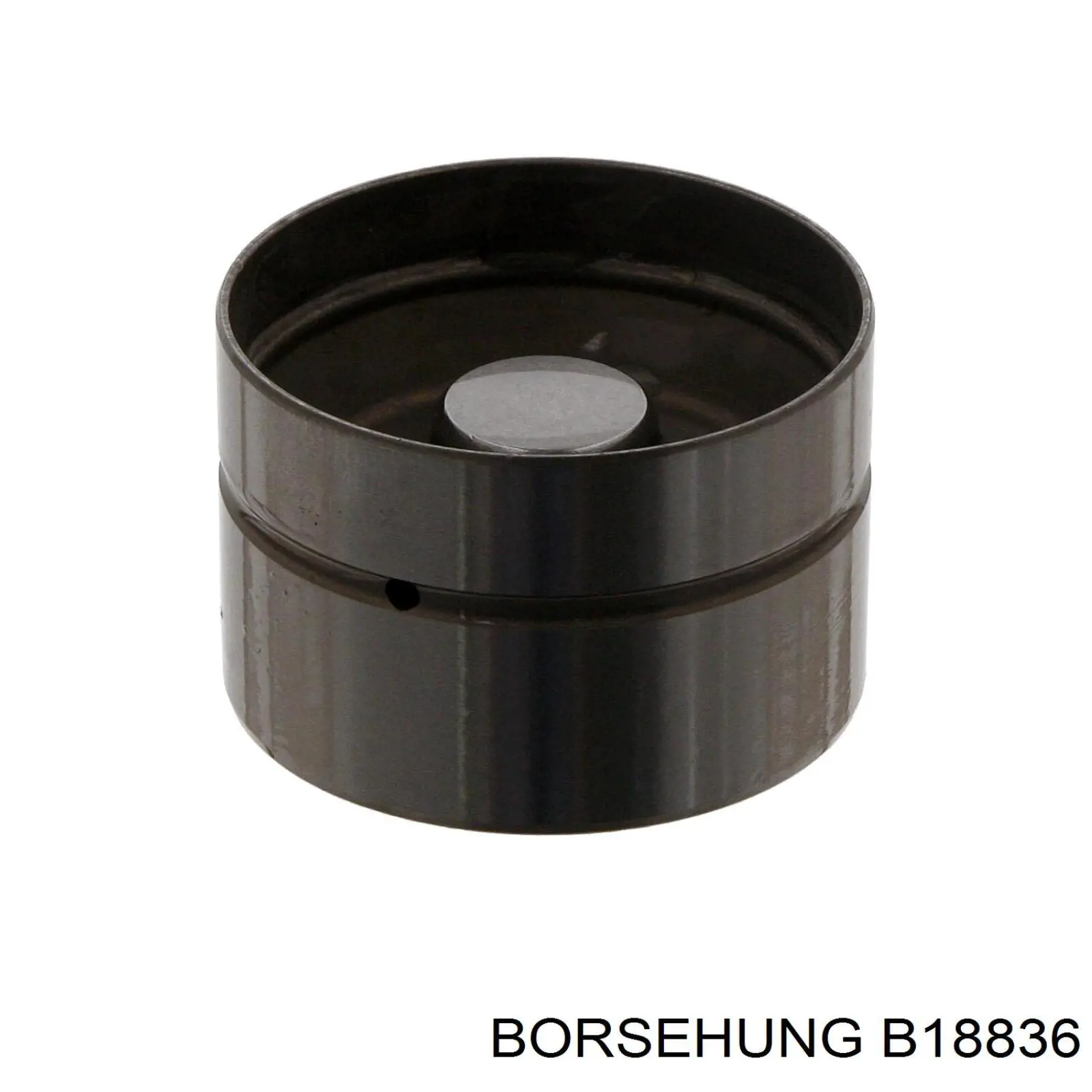 Taqués hidráulicos Borsehung B18836 precio, desde 8,31 EUR