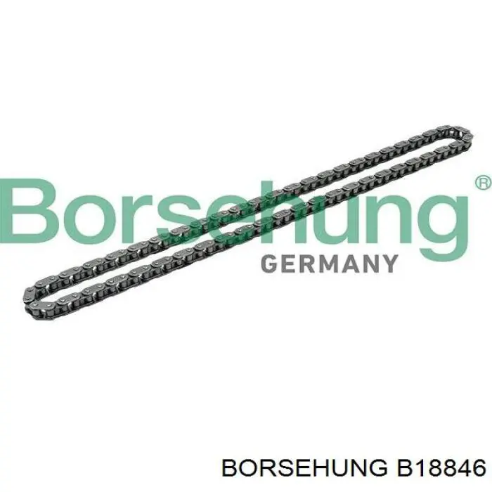 B18846 Borsehung cadena, bomba de aceite