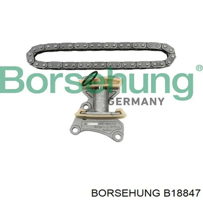Kit de cadena de distribución Borsehung B18847 precio, desde 49,63 EUR