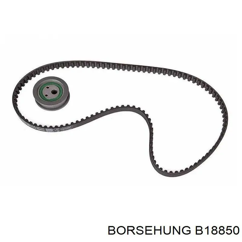 Juego de cadena de bomba de aceite Borsehung B18850 precio, desde 30,64 EUR