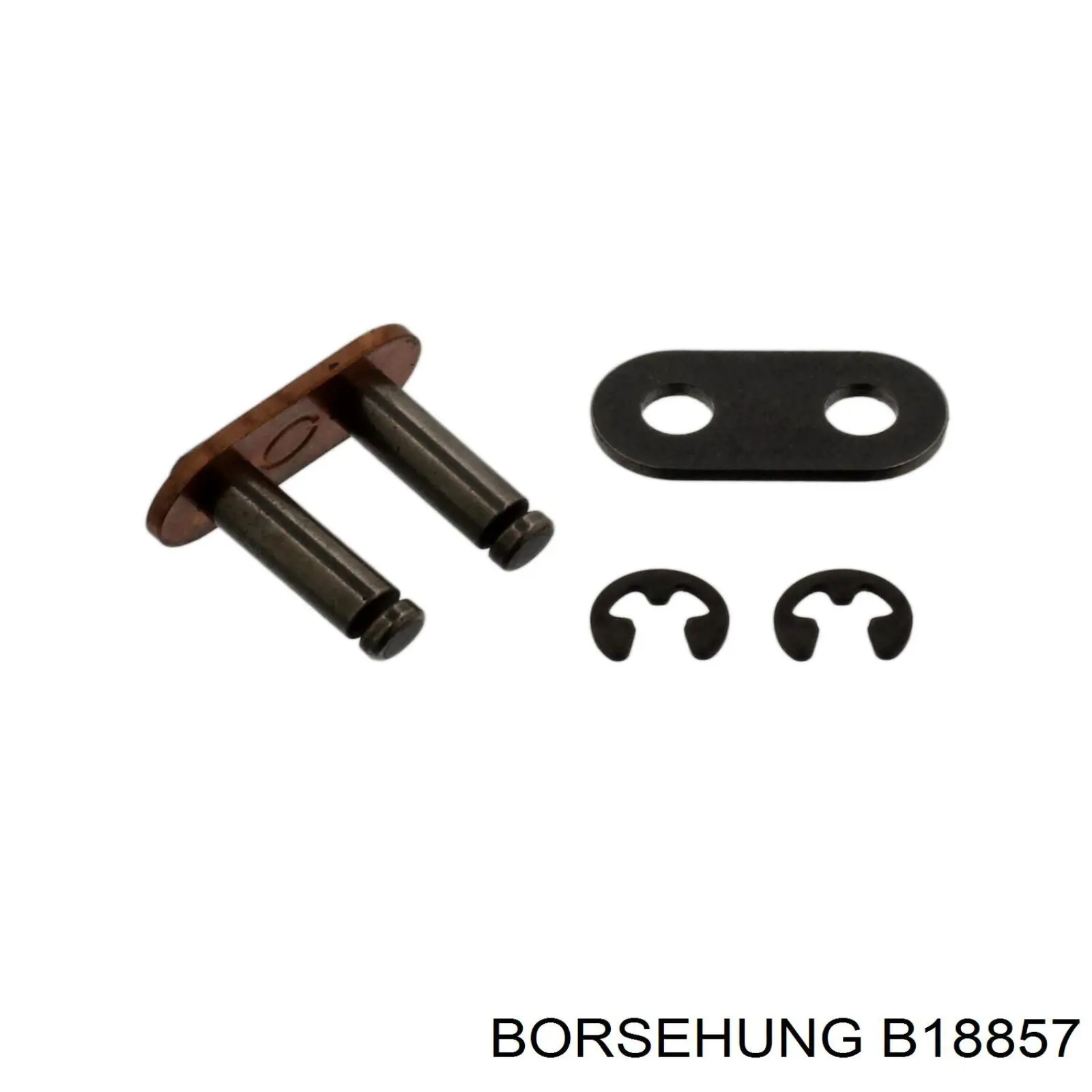 B18857 Borsehung