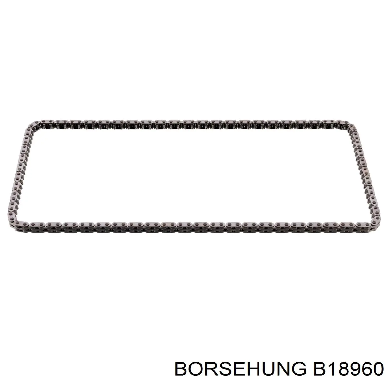 B18960 Borsehung Juego de cadena de distribución