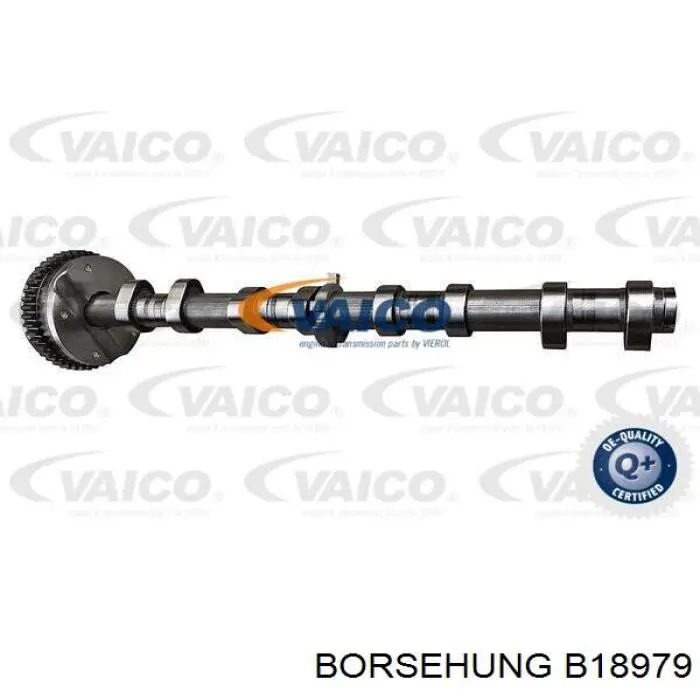 Árboles de levas Borsehung B18979 precio, desde 331,14 EUR