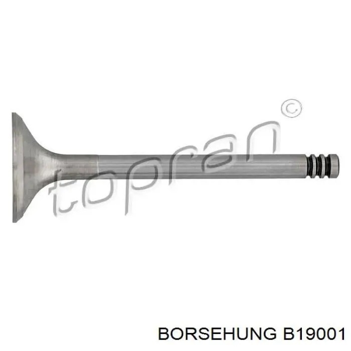 Válvula de escape Borsehung B19001 precio, desde 12,32 EUR