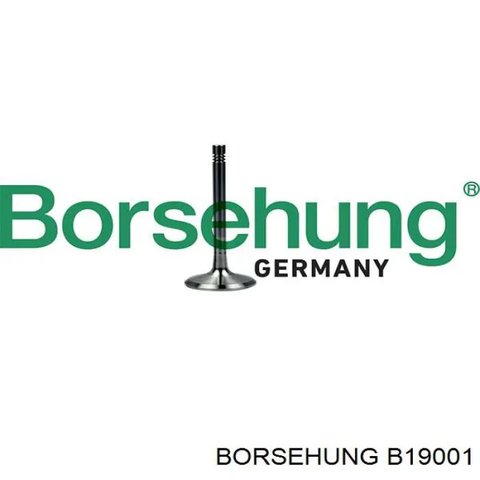 B19001 Borsehung válvula de escape