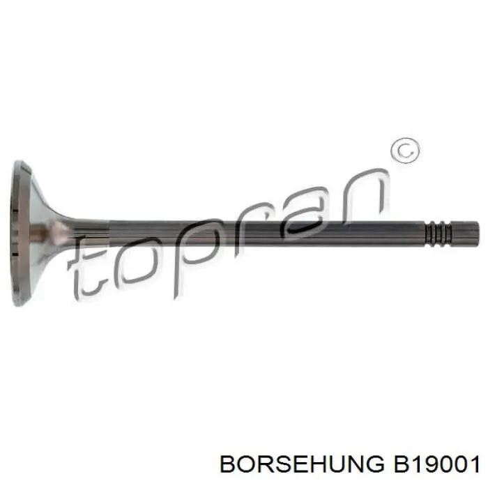 Comprar B19001 Borsehung Válvula escape