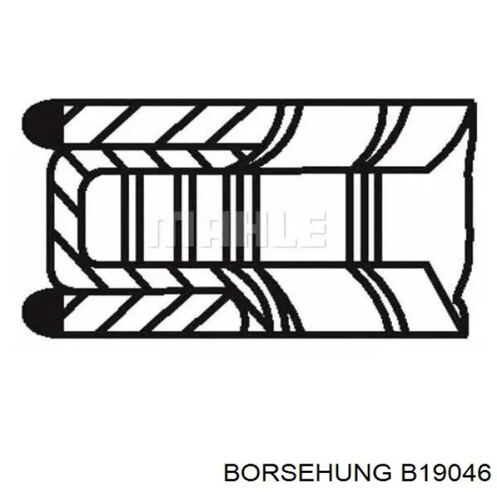 Comprar B19046 Borsehung Aros de pistón para 1 cilindro, STD