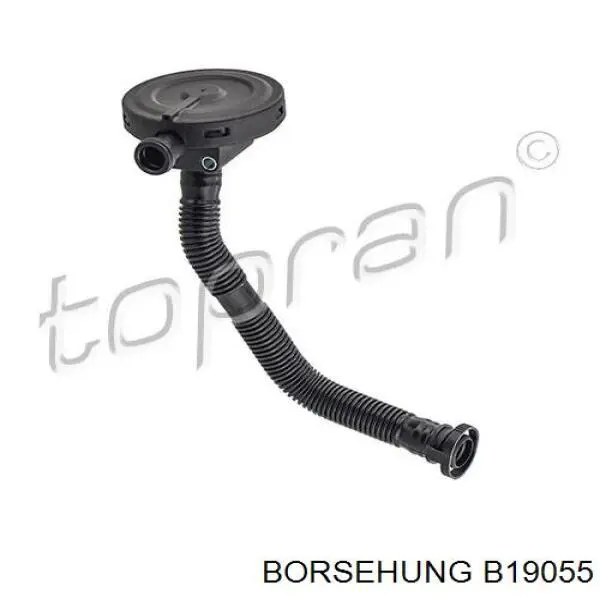 Válvula, ventilación cárter Borsehung B19055 precio, desde 24,04 EUR