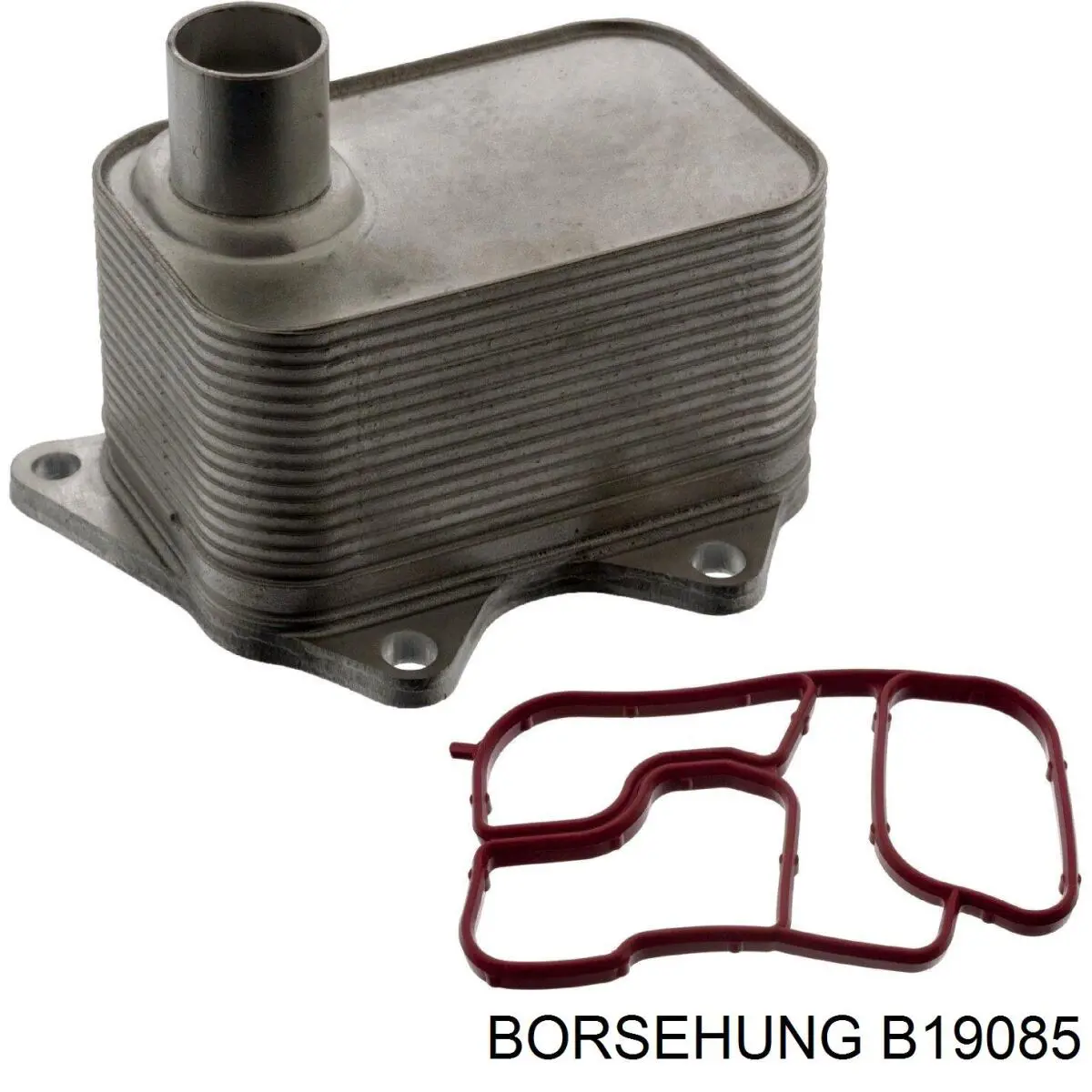 B19085 Borsehung radiador de aceite
