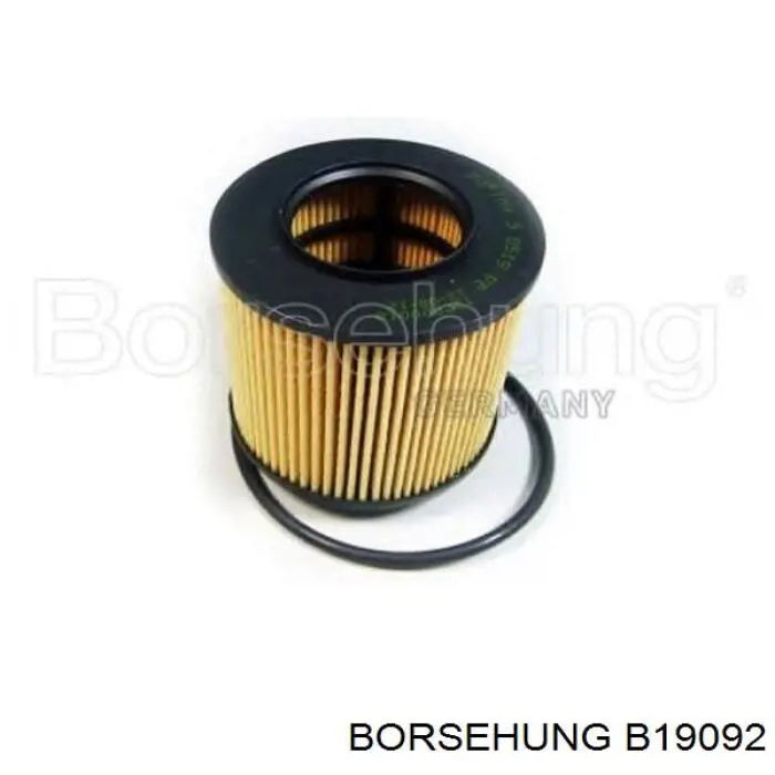 Filtro de aceite motor Borsehung B19092