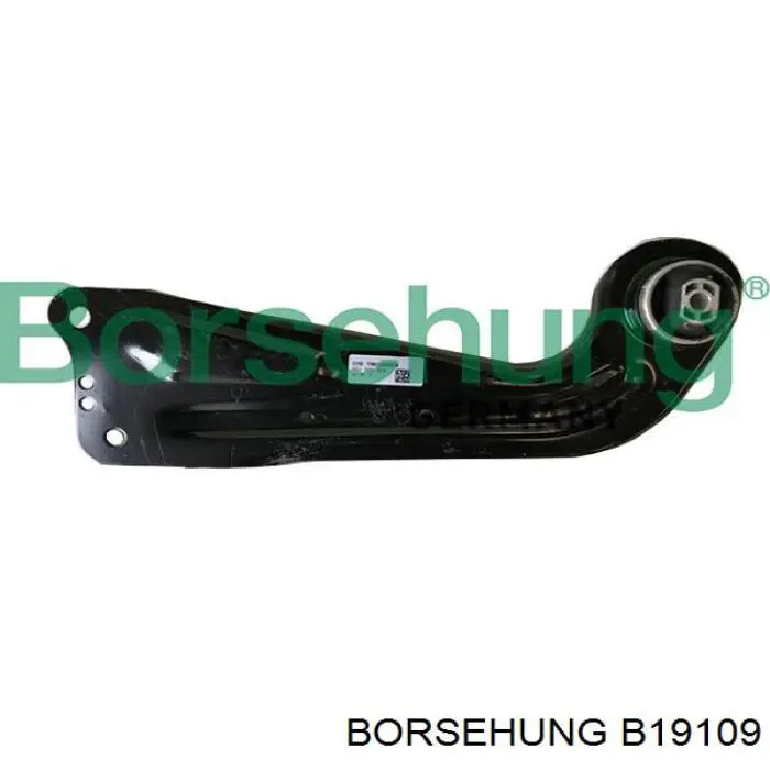 B19109 Borsehung brazo suspension (control trasero inferior izquierdo)