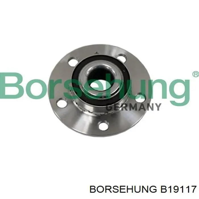 B19117 Borsehung cubo de rueda delantero