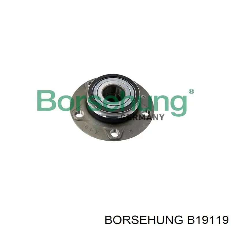 Buje de rueda Borsehung B19119 precio, desde 52,76 EUR