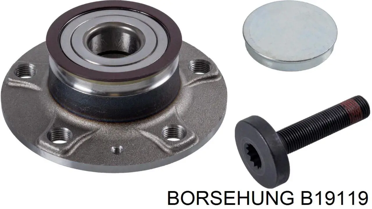 B19119 Borsehung Buje de rueda trasero